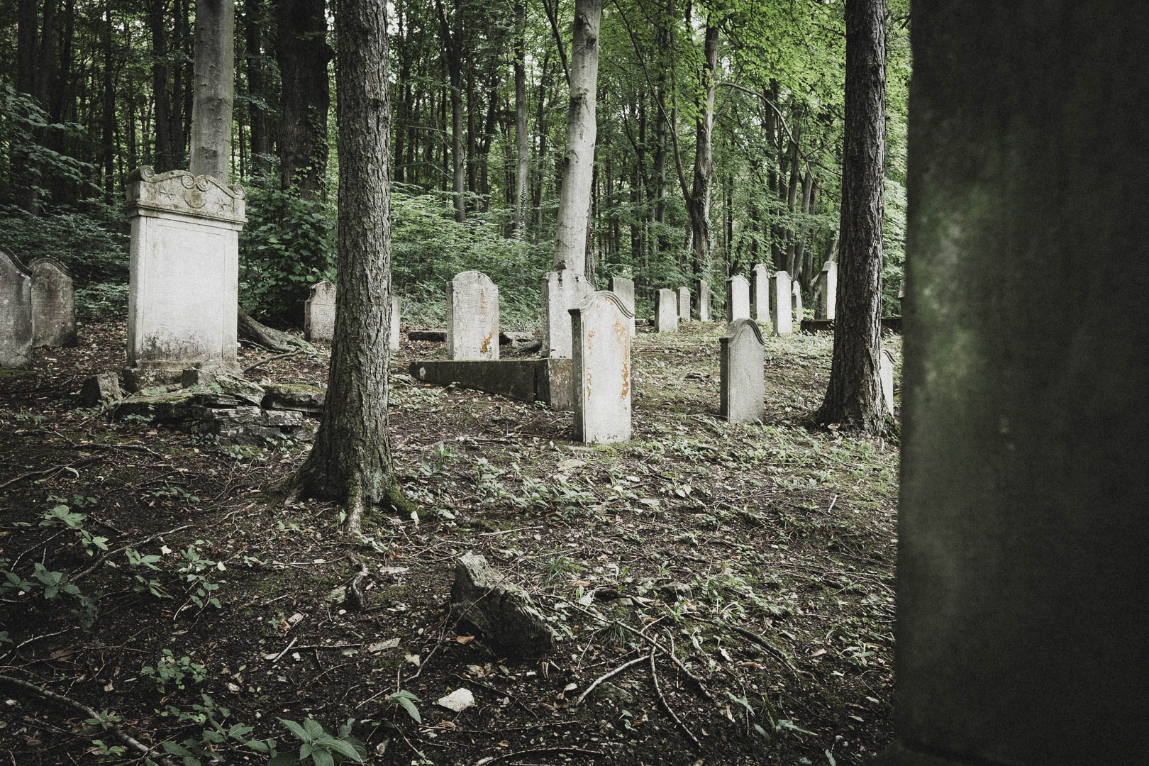 Bleicherode, Jüdischer Friedhof